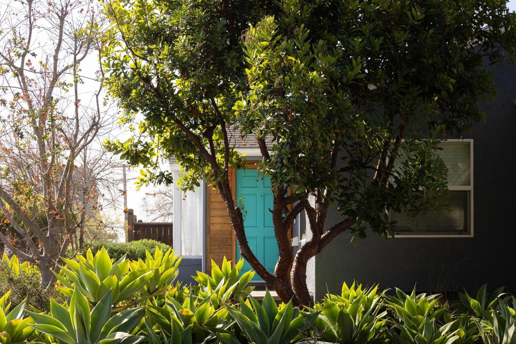 Modern Retro Close To Dt, Zoo, Parking, Hot Tub Holiday home *